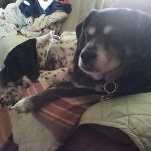 Meet your Posher, Rik